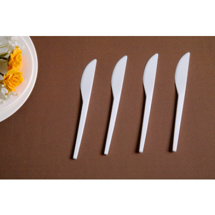 Cutlery Disposable Cutlery Plastic Cutlery