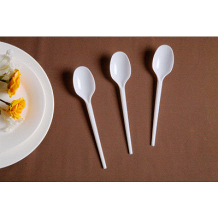 Cutlery Plastic Cutlery Plastic Spoon PS Cutlery Disposable Cutlery