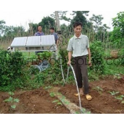 DC Solar Water Pump for Flower
