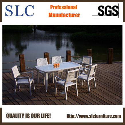 Designer Outdoor Furniture/Fashionable Outdoor Furniture/Aluminium Design Outdoor Furniture (SC-B8877)