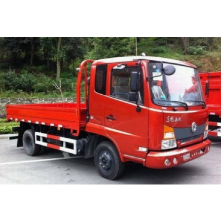 Dongfeng 4*2 Cargo Truck (160, 180HP)