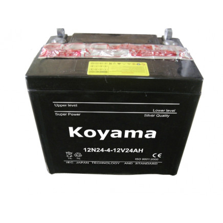 Dry Charge Car Battery (12N24-4/3-26N19R/L)