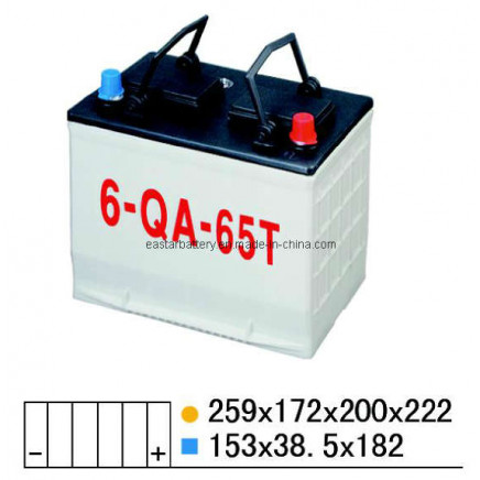 Dry Charged Car Battery 12V60ah (NS70)