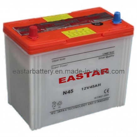 Dry Charged Car Battery NS60