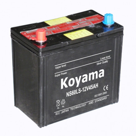 Dry Charged Car Battery NS60S-N45-12V45AH