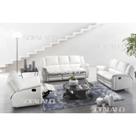Electric Recliner Sofa/Leather Sofa (658)