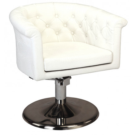 Elegant Salon Styling Chairs for Barber Shop (MY-007-49)