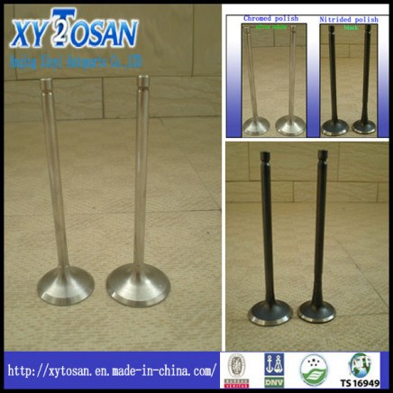 Engine Valve Used for Audi Vw