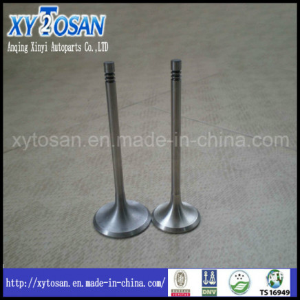 Engine Valve for Ford (TIERRA, LIATA, MONDEO 1.6, ESCORT 1.6)