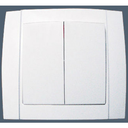 European Style Electrical Two Gang One Way Wall Switch
