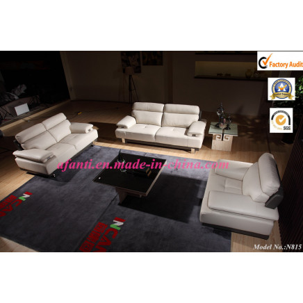 European Style Living Room Leather Sofa Sectional Sofa (N815)