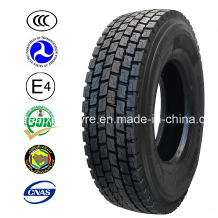Excellent Performence Truck Tyres (10.00R20)