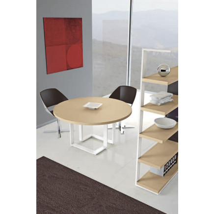 Fashion &Modern Office Meeting Table (YLMT1030-09) -Elene