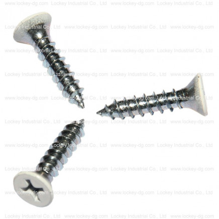 Flat Head Phillips Self Tapping Screw, Head Painted