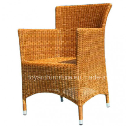 France Modern Outdoor Furniture Vine Chair (S289)