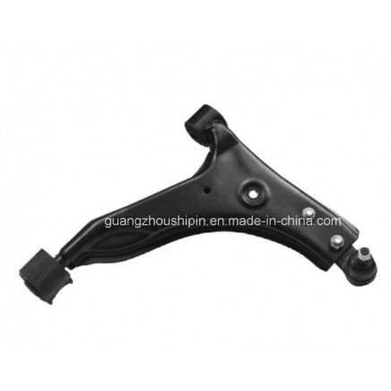 Front Lower Control Arm Upper Bush for Hyundai (54503-24000)
