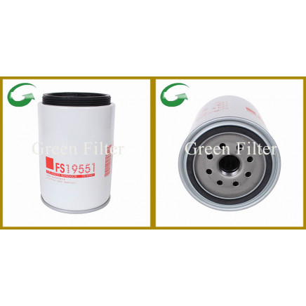 Fuel Filter for Car Diesel Engine (FS19551)