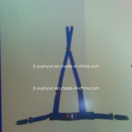 Full Back Three Point Safety Belt (DC-34012)