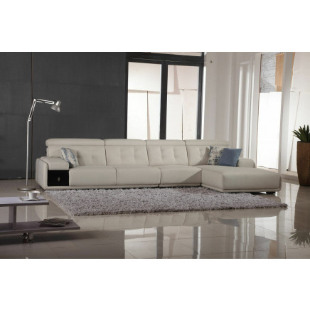 Furniture Modern Sectional Sofa (RJ-9007)