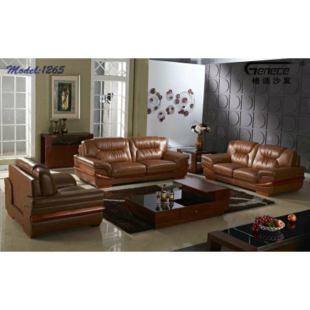 Furniture Popular Sectional High Quality Leather 1+2+3 Sofa (RFT-1265)