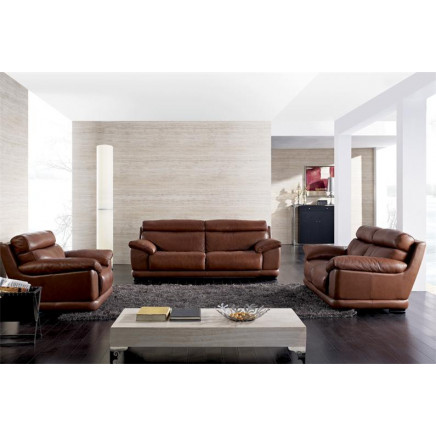 Furniture Thick Genuine Leather High Quality Sectional Sofa (JY-118)