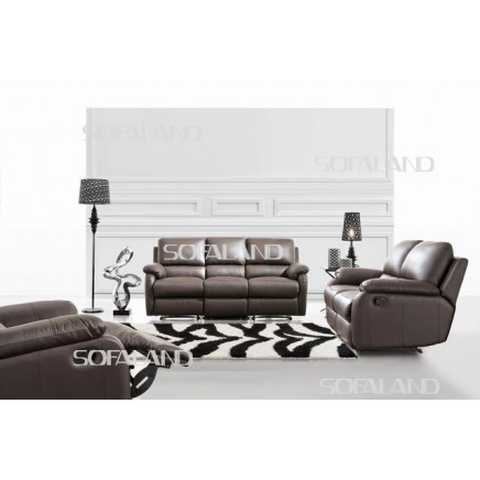 Furniture for Recliner Sofa (654)