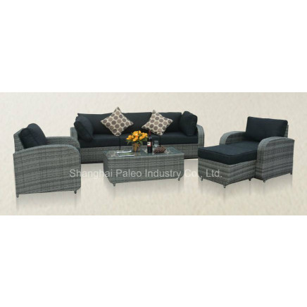 Garden Furniture, Outdoor Rattan Furniture, Modern Sofa Set (PAS-1642)