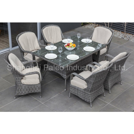 Garden Furniture Outdoor Rattan Patio Wicker Dining Table and Chair (PAD-1608)