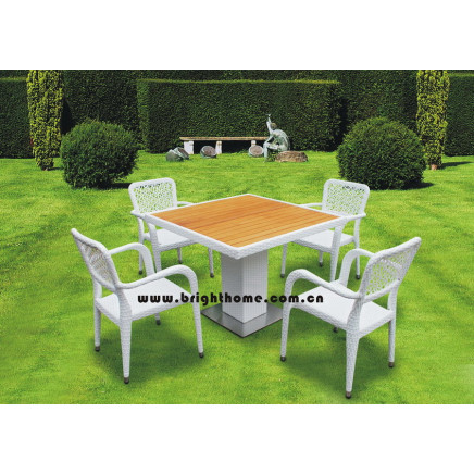 Garden Furniture/Rattan Furniture/Outdoor Furniture