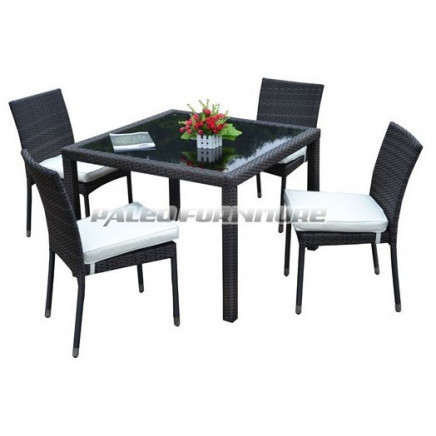 Garden Furniture, Rattan Table and Chair (PAD-080B)