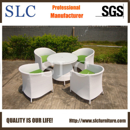 Garden Furniture Wholesalers (SC-B8217)