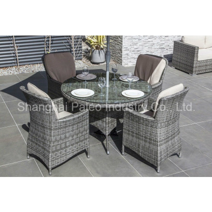 Garden Garden Furniture, Outdoor Rattan, Patio Wicker Dining Table and Chair (PAD-1601)