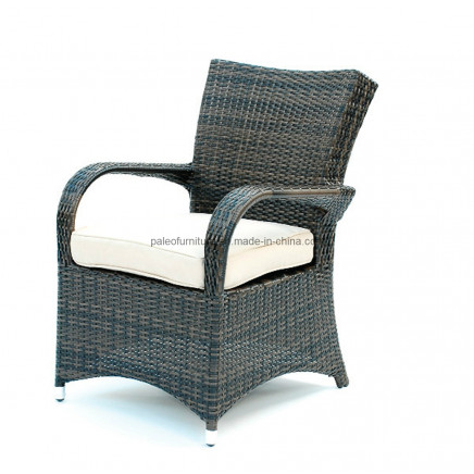 Garden Outdoor Wicker Patio Rattan Chair (PAC-003)
