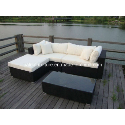 Garden Outdoor Wicker Patio Rattan Sofa Set (PAS-1114)