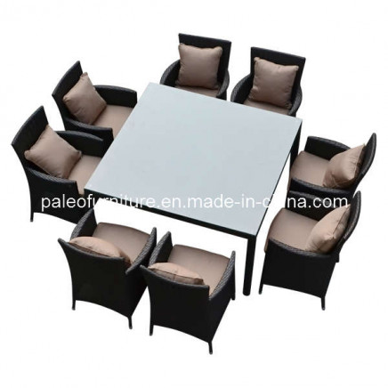 Garden Patio Wicker Outdoor Rattan Dining Set (PAD-3284)