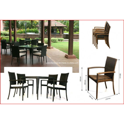 Garden Patio Wicker Outdoor Rattan Furniture (PAD-007)