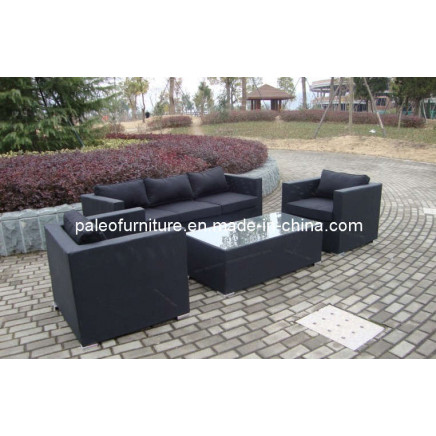 Garden Patio Wicker Outdoor Rattan Furniture (PAT-009)