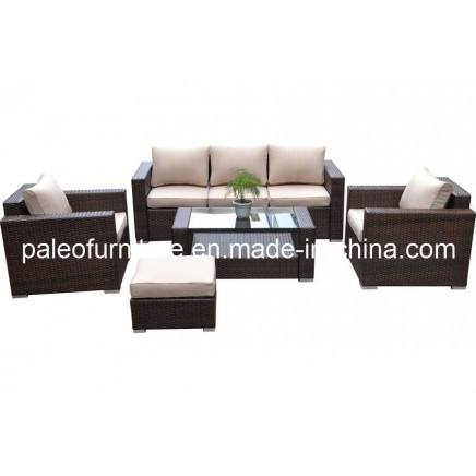 Garden Patio Wicker Outdoor Rattan Sofa Set (PAS-060B)