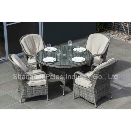 Garden Patio Wicker Rattan Outdoor Dining Table and Chair (PAD-1607)