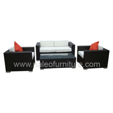 Garden Patio Wicker Rattan Outdoor Furniture (PAS-044.2)