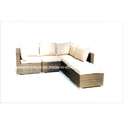 Garden Patio Wicker Rattan Outdoor Furniture (PAS-1202)