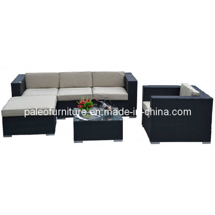 Garden Patio Wicker Rattan Outdoor Furniture Sofa Set (PAS-050B)