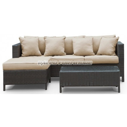 Garden Patio Wicker Rattan Outdoor Sofa (PAS-1101)
