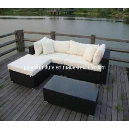 Garden Patio Wicker Rattan Outdoor Sofa (PAS-1114)