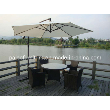 Garden Rattan Furniture / Dining Table and Chair (PAD-1101B)