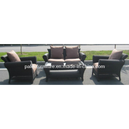 Garden Rattan Patio Outdoor Wicker Sofa Set (PAS-046)