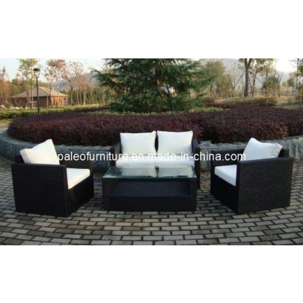 Garden Rattan Patio Wicker Outdoor Furniture (PAT-005)