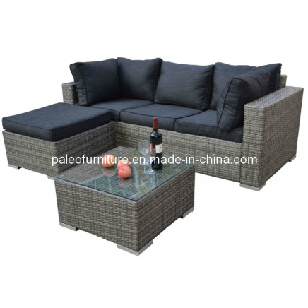 Garden Rattan Wicker Outdoor Patio Sofa Set (PAS-1302)