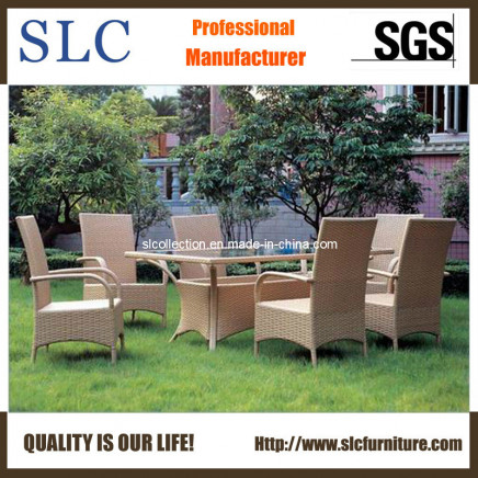 Garden Table Set/Garden Chair and Table/Rattan Table and Chair Outdoor (SC-B1012)