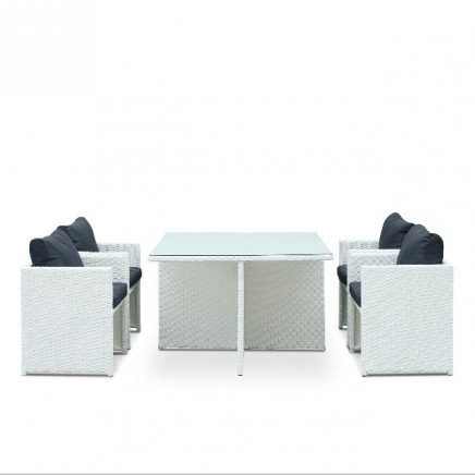 Garden Wicker Dining Table and Chair (PAD-3236)